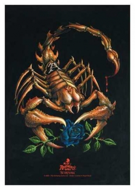 drapeau alchemy pos469 – Image 2