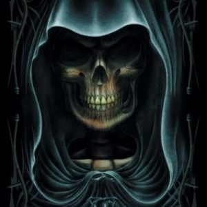 drapeau faucheuse pos 699